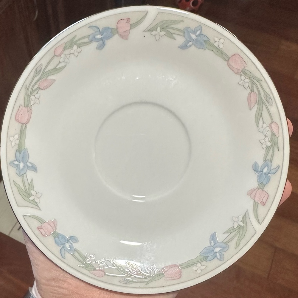 Illusions by Excel Scene 1 Saucer